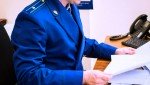 В Южноуральске прокуратура защитила права ребенка, пострадавшего от укуса собаки